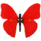 khity